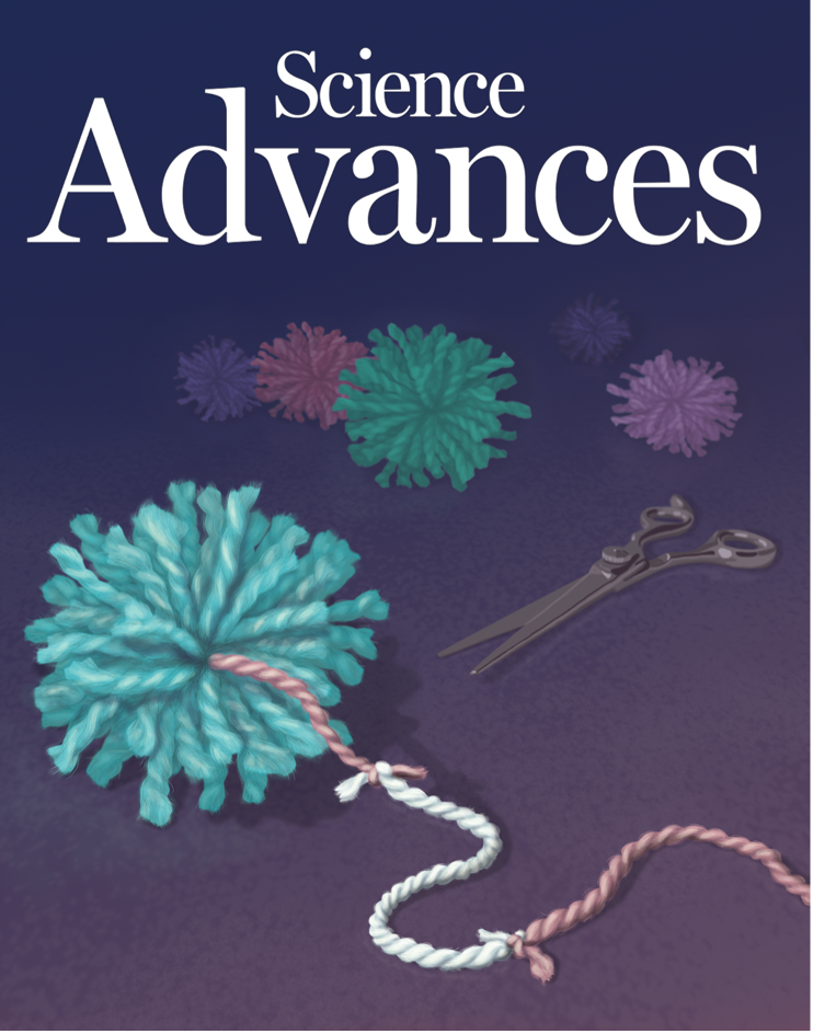 CRISPR-based engineering of RNA viruses