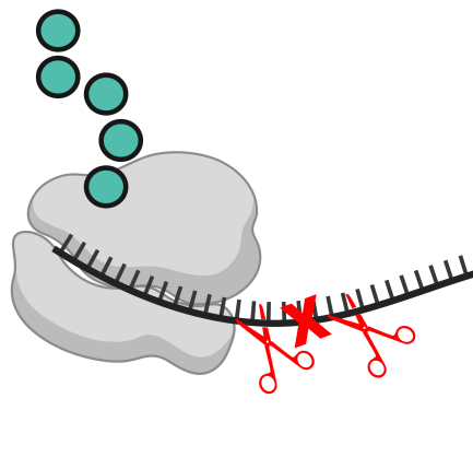 Repair of CRISPR-guided RNA breaks enables site-specific RNA editing in human cells